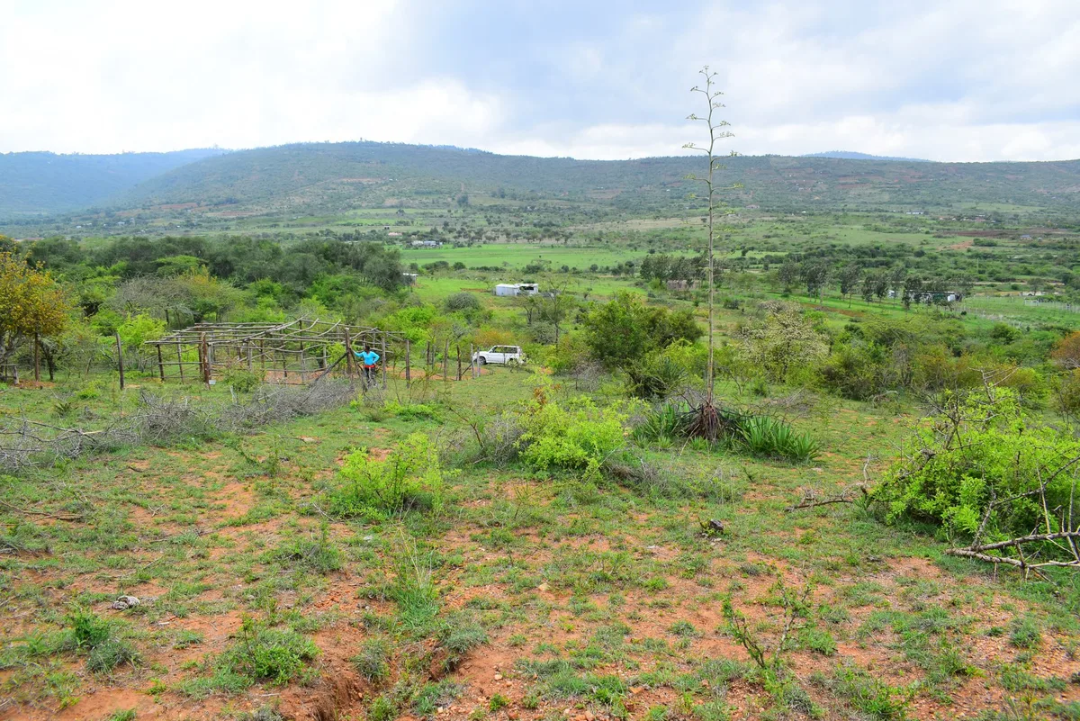 DSLR photo of Camp David Estate in Machakos — scenic residential plots near the county capital (photo 05)