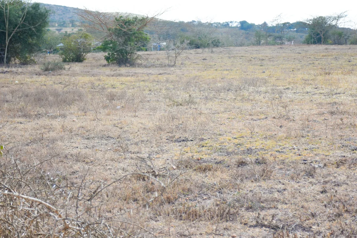 DSLR photo of Hills View Estate in Machakos Hills — elevated ⅛ acre plots with panoramic views (photo 04)